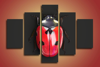 obraz na stenu lienka OD 1