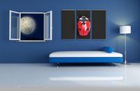 obraz na stenu lienka OD 3