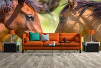 fototapeta kone interier 2