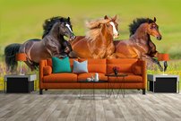 fototapeta beziace kone interier 2