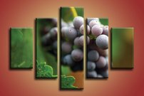 Strapec hrozna - OD 0027