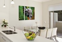 Strapec hrozna - OD 0027