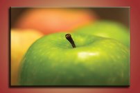 Zelené jablko - OD 0034