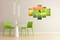 Zelené jablko - OD 0034