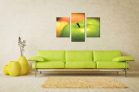 Zelené jablko - OD 0034