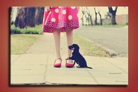 Šteniatko - OD 0078