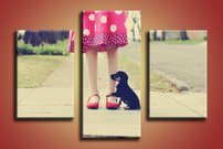 Šteniatko - OD 0078