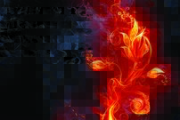 Tapeta Kvetina - OH 0015