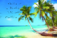 Tapeta Palmy - PK 0010