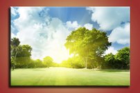 Slnečné lúče - PK 0099