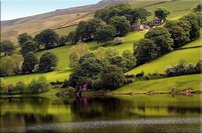 Tapeta Príroda - PK 0106