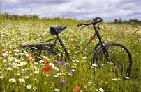 Tapeta Bicykel - PK 0109