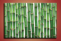 obraz na stenu bambusy 1