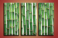 obraz na stenu bambusy 2