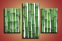 obraz na stenu bambusy 3