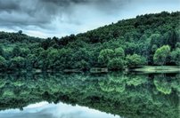 Tapeta Príroda - PK 0131