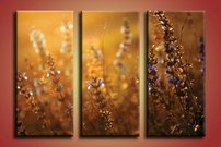 obraz na stenu kvety MA 2