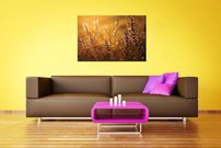 obraz na stenu kvety MA 7