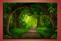 obraz na stenu prales v Ázii 12 titulná strana