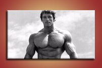 Arnold Schwarzenegger- LO 1003