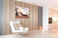 Abstrakcia - SD 0004