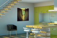 Priebkbopa - SD 0011