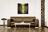 Priebkbopa - SD 0011