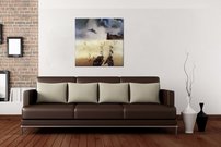 Na púšti - SD 0028