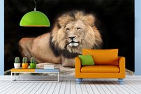 Tapeta ZR 0023 - Lev