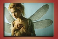 Dievča s krídlami - SF 0049
