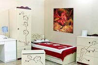 Obraz na stenu Červený drak 4