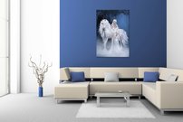 Biela pani - SF 0088