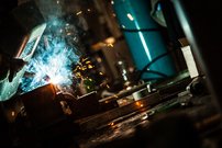 fototapeta zvarac s horakom interier 4