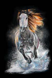 obraz na stenu beziaci kon 2