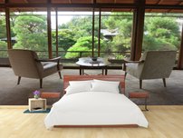 fototapeta zahrada interier 4