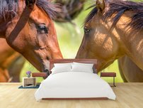 fototapeta kone interier 4