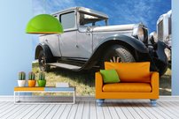 Tapeta Veterán - AM 0004