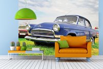 Tapeta Veterán - AM 0014