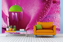 Tapeta Ružový kvet - KV 0056