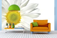 Tapeta Margarétka - KV 0063