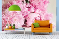 Tapeta Ružové kvety - KV 0069