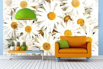 Tapeta Margarétky - KV 0071