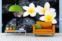 Tapeta Biele kvietky- KV 0077