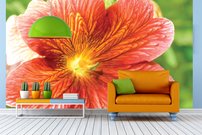 Tapeta Oranžový kvietok - KV 0097