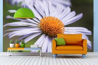 Tapeta Sedmokráska - KV 0102