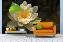 Tapeta Lekno biele - KV 0108