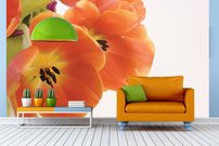 Tapeta Kvetiny - KV 0113