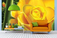 Tapeta Žltá ruža - KV 0120