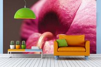 Tapeta Ružový kvet - KV 0122