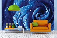 Tapeta Modrá ruža - KV 0124